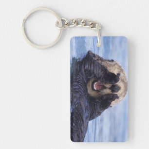 Porte-clés Jolie loutre de mer Alaska, États-Unis
