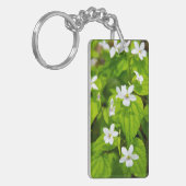 Porte-clés Joyce Kilmer-Slickrock Wilderness (Devant gauche)