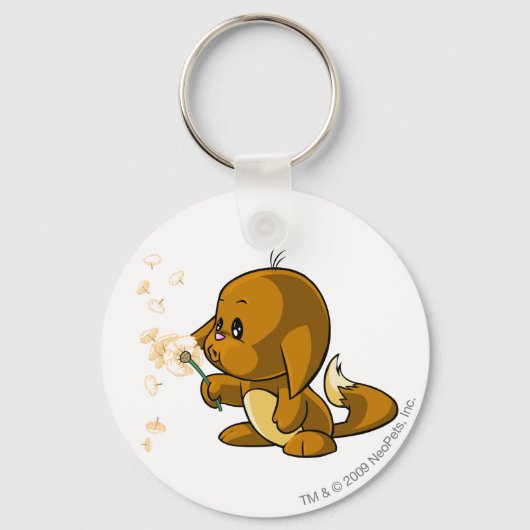 Porte-clés Kacheek Brown (Recto)
