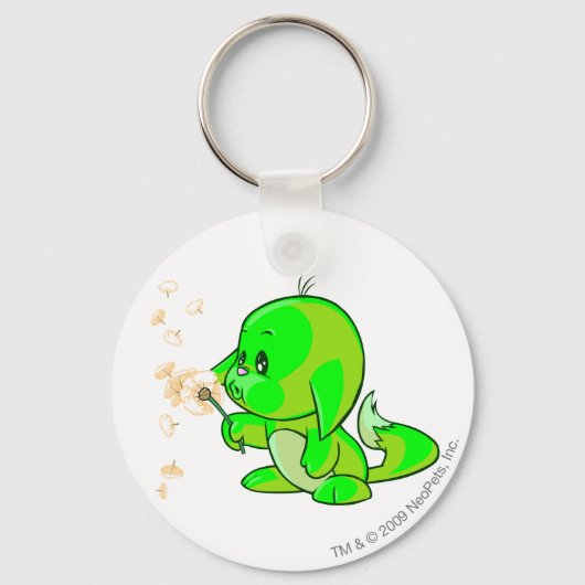 Porte-clés Kacheek Glissant (Recto)