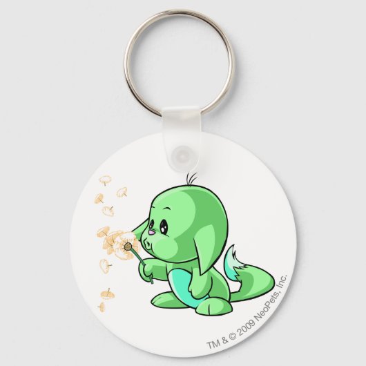 Porte-clés Kacheek Green (Recto)