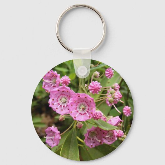 Porte-clés Kalmia 104 ~ porte - clé (Recto)