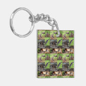 Porte-clés Kangaroo Picture Collage, (Devant gauche)