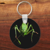 Porte-clés Katydid (Recto)