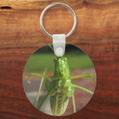 Porte-clés Katydid ~ porte - clé (Recto)