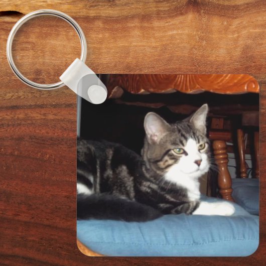 Porte-clés Keeno Regal Pose Porte - clé (Recto)