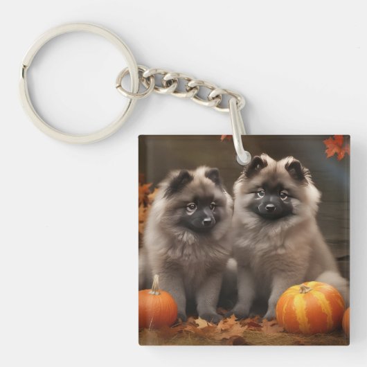 Porte-clés Keeshond Chiot Automne Citrouille délice (Devant)