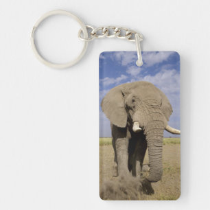 Porte-clés Kenya : parc national d'Amboseli, éléphant mâle