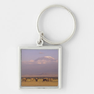 Porte-clés Kenya : Parc national d'Amboseli, Éléphants