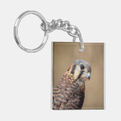Porte-clés Kestrel américain (Devant gauche)