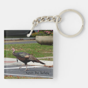 Porte-clés Kevin The Turkey - Old Wethersfield, CT (2 photos)