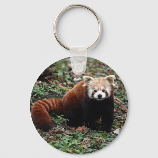 Porte-clés Key chain - red panda 2 (Recto)