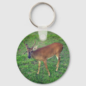 Porte-clés Key Deer (Recto)