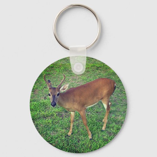 Porte-clés Key Deer (Recto)