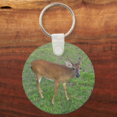 Porte-clés Key Deer (Verso)