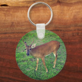 Porte-clés Key Deer (Recto)