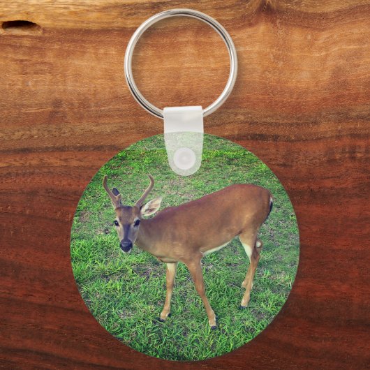 Porte-clés Key Deer (Recto)