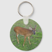 Porte-clés Key Deer (Verso)
