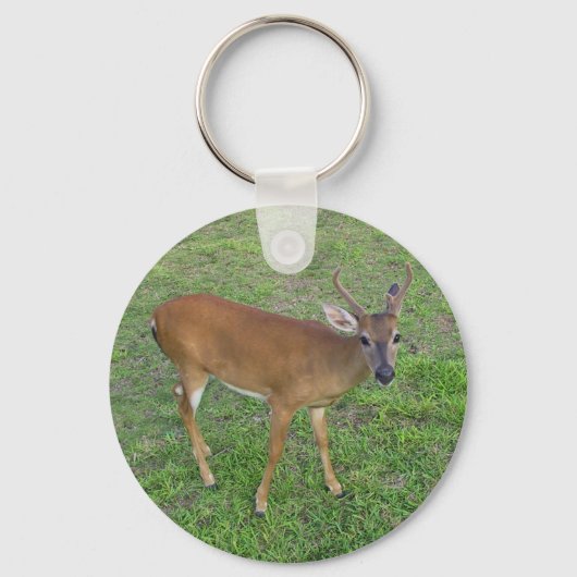 Porte-clés Key Deer (Verso)