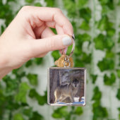 Porte-clés Keychain (main)