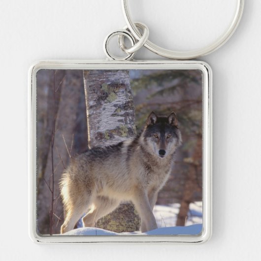Porte-clés Keychain (Devant)