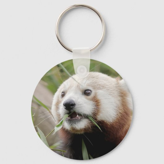 Porte-clés keychain Photo red panda , animals 0326. (Recto)