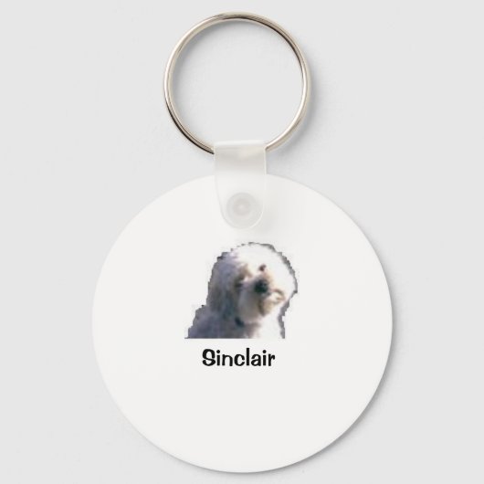 Porte-clés keyholder Sinclair (Recto)