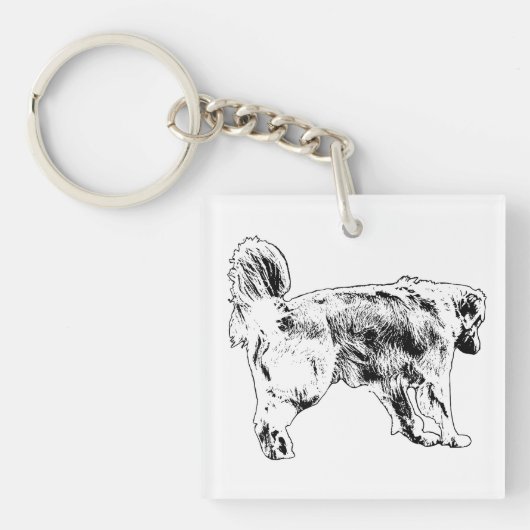 Porte-clés Keys Jingle Companion (Devant)