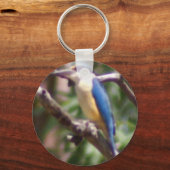 Porte-clés Kingfisher (Recto)