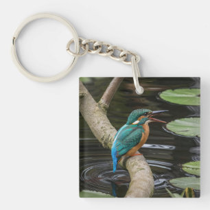 Porte-clés Kingfisher Bird