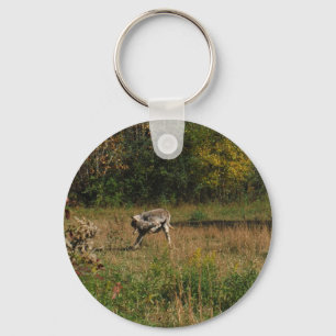 Porte-clés Kissing Butt Donkey