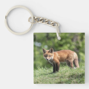 Porte-clés Kit de Fox rouge