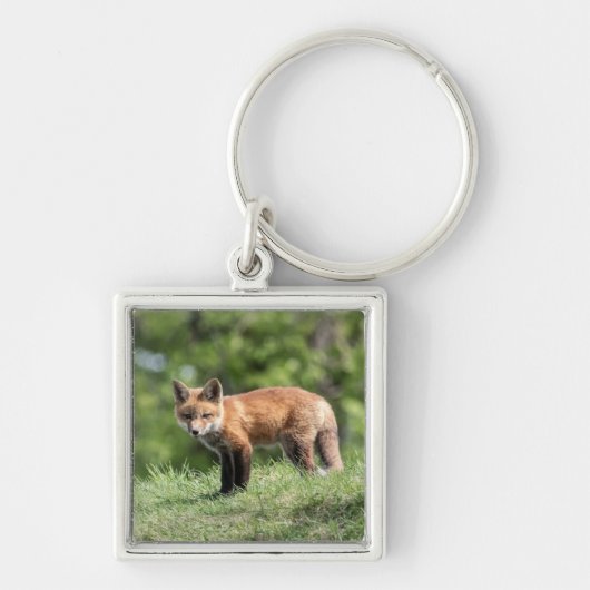 Porte-clés Kit de Fox rouge (Devant)