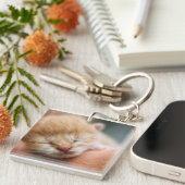 Porte-clés Kitten, Feline, Nature (Devant Droit)