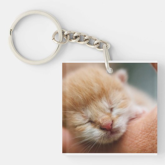 Porte-clés Kitten, Feline, Nature (Devant)