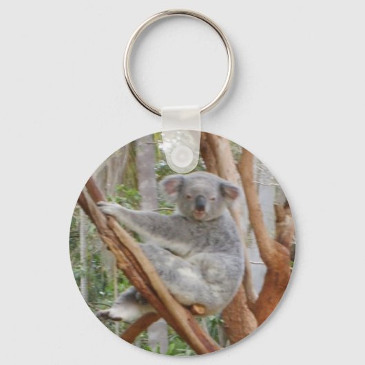 Porte-clés Koala (Recto)
