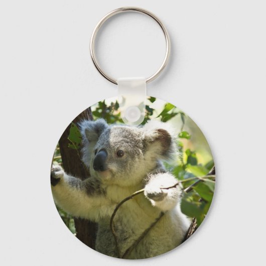 Porte-clés Koala bébé incroyablement mignon dans un arbre (Recto)