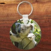 Porte-clés Koala bébé incroyablement mignon dans un arbre (Recto)