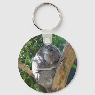 Porte-clés Koala dormant dans l'arbre