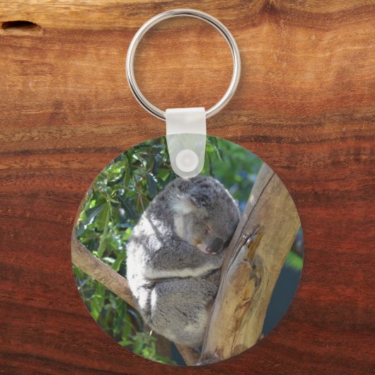 Porte-clés Koala dormant dans l'arbre (Verso)
