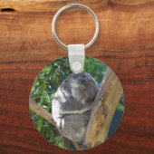 Porte-clés Koala dormant dans l'arbre (Recto)