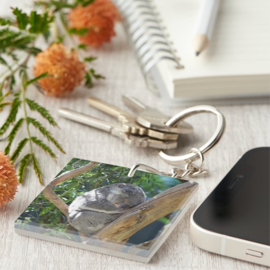 Porte-clés Koala dormant dans l'arbre (Devant Droit)