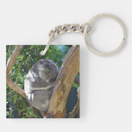Porte-clés Koala dormant dans l'arbre (Dos)