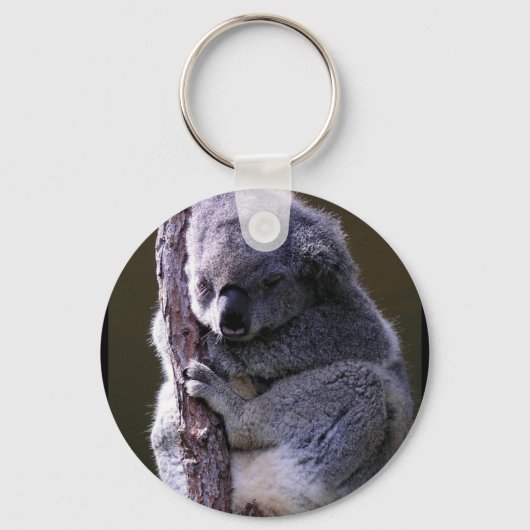 Porte-clés Koala en Porte - clé d'arbre (Recto)