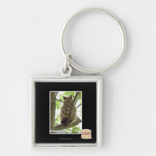 Porte-clés Koala Kitteh