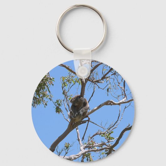 Porte-clés Koala Nap (Recto)