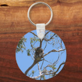 Porte-clés Koala Nap (Recto)