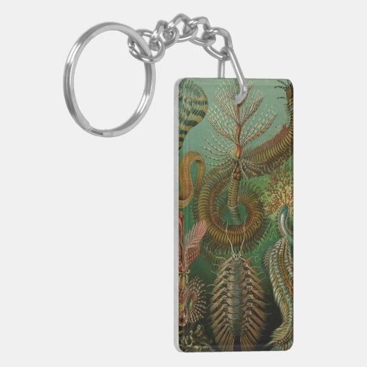 Porte-clés La Chaetopode de Haeckel (Devant gauche)