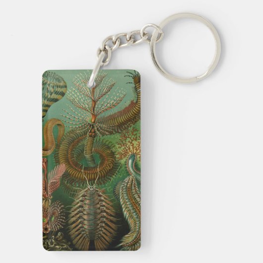 Porte-clés La Chaetopode de Haeckel (Dos)