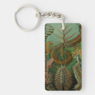 Porte-clés La Chaetopode de Haeckel